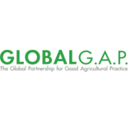 EN BÚSQUEDA DE CERTIFICACIÓN GLOBAL GAP